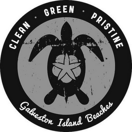 CLEAN · GREEN · PRISTINE GALVESTON ISLAND BEACHES