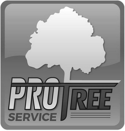 PRO TREE SERVICE