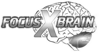 FOCUS X BRAIN