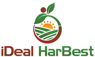 IDEAL HARBEST