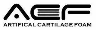 ACF ARTIFICAL CARTILAGE FOAM