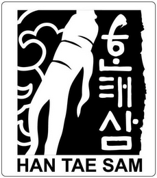 HAN TAE SAM