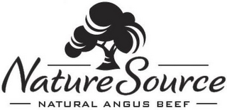 NATURESOURCE NATURAL ANGUS BEEF