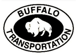BUFFALO TRANSPORTATION