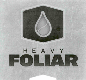 HEAVY FOLIAR