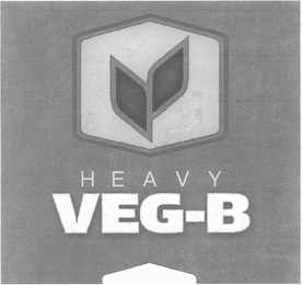 HEAVY VEG-B