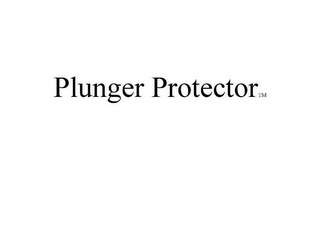 PLUNGER PROTECTOR