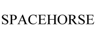 SPACEHORSE