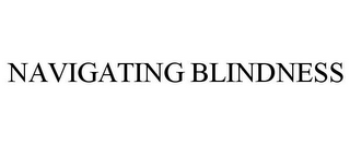 NAVIGATING BLINDNESS