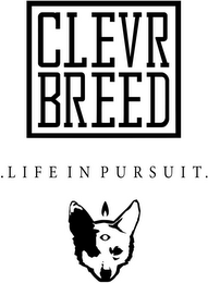 CLEVR BREED .LIFE IN PURSUIT.