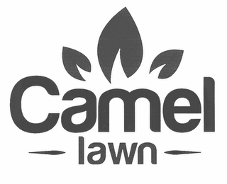 CAMEL LAWN