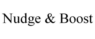 NUDGE & BOOST