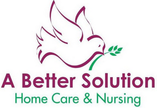 A BETTER SOLUTION HOME CARE & NURSING