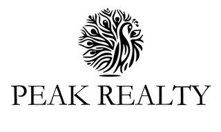 PEAK REALTY