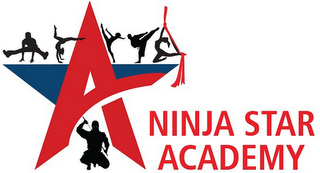 NINJA STAR ACADEMY