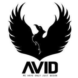 AVID WE HAVE ONLY JUST BEGUN