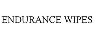 ENDURANCE WIPES