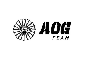 AOG FEAM