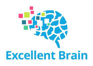 EXCELLENT BRAIN