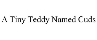 A TINY TEDDY NAMED CUDS