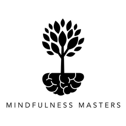 MINDFULNESS MASTERS