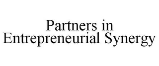 PARTNERS IN ENTREPRENEURIAL SYNERGY