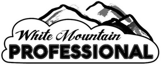 WHITE MOUNTAIN PROFESSIONAL