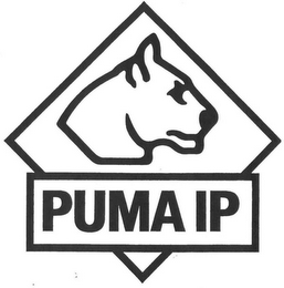 PUMA IP