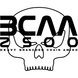 BCAA 2500 HEAVY BRANCHED CHAIN AMINO