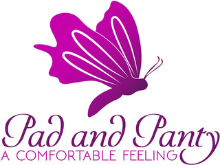 PAD AND PANTY A COMFORTABLE FEELING