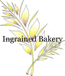 INGRAINED BAKERY