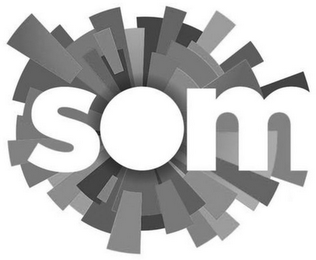 SOM