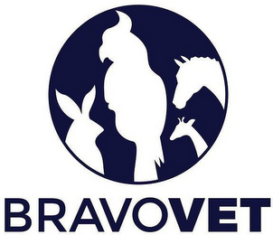 BRAVOVET