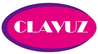 CLAVUZ