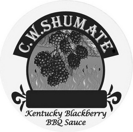 C.W. SHUMATE KENTUCKY BLACKBERRY BBQ SAUCE