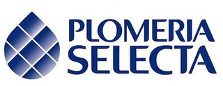 PLOMERIA SELECTA