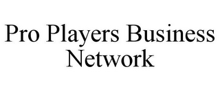 PRO PLAYERS BUSINESS NETWORK