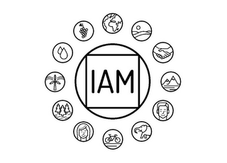 IAM