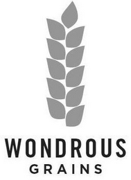 WONDROUS GRAINS