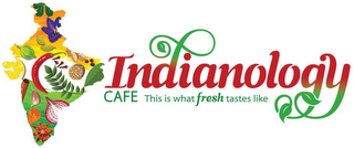 INDIANOLOGY CAFE THIS IS WHAT FRESH TASTES LIKE