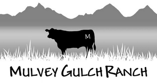 M MULVEY GULCH RANCH