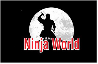 NINJA WORLD