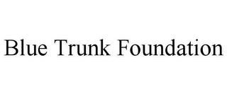 BLUE TRUNK FOUNDATION