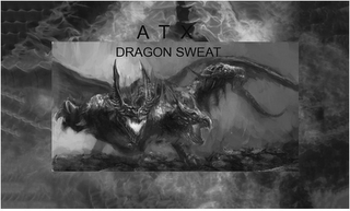 A T X DRAGON SWEAT