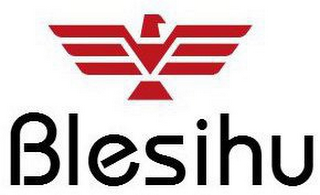 BLESIHU
