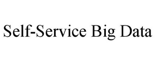 SELF-SERVICE BIG DATA