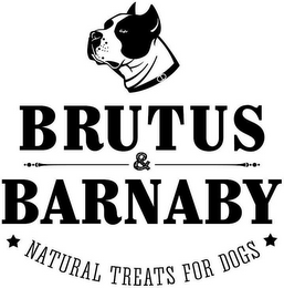 BRUTUS & BARNABY NATURAL TREATS FOR DOGS