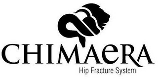 CHIMAERA HIP FRACTURE SYSTEM