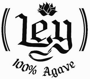 LEY 100% AGAVE