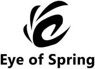 EYE OF SPRING